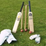 A Complete Look at different types of Cricket Bets