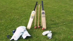 A Complete Look at different types of Cricket Bets